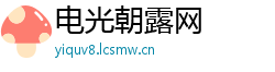 电光朝露网